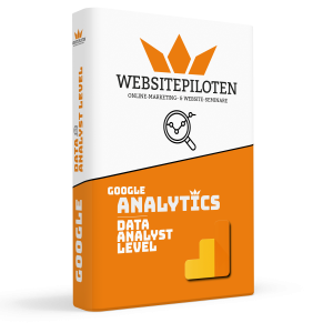 Google Analytics Profikurs